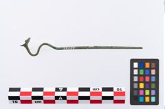 Foto von Bronzeschwanenhalsnadel (NHMW-PRAE-035777)